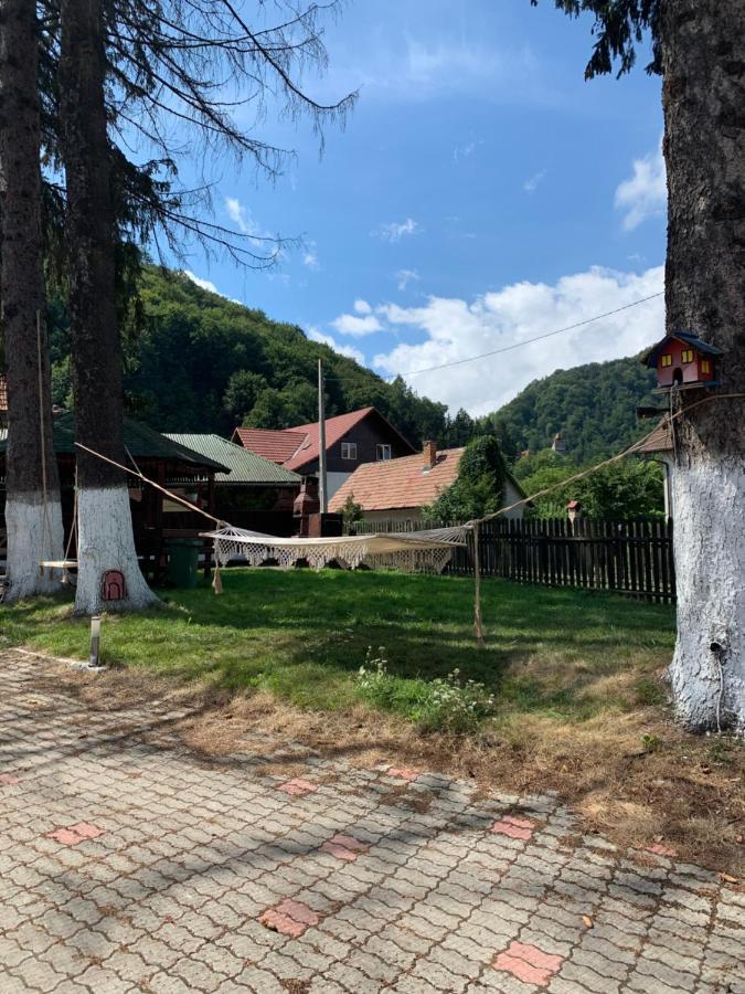 Vila Codreanu 布朗 外观 照片