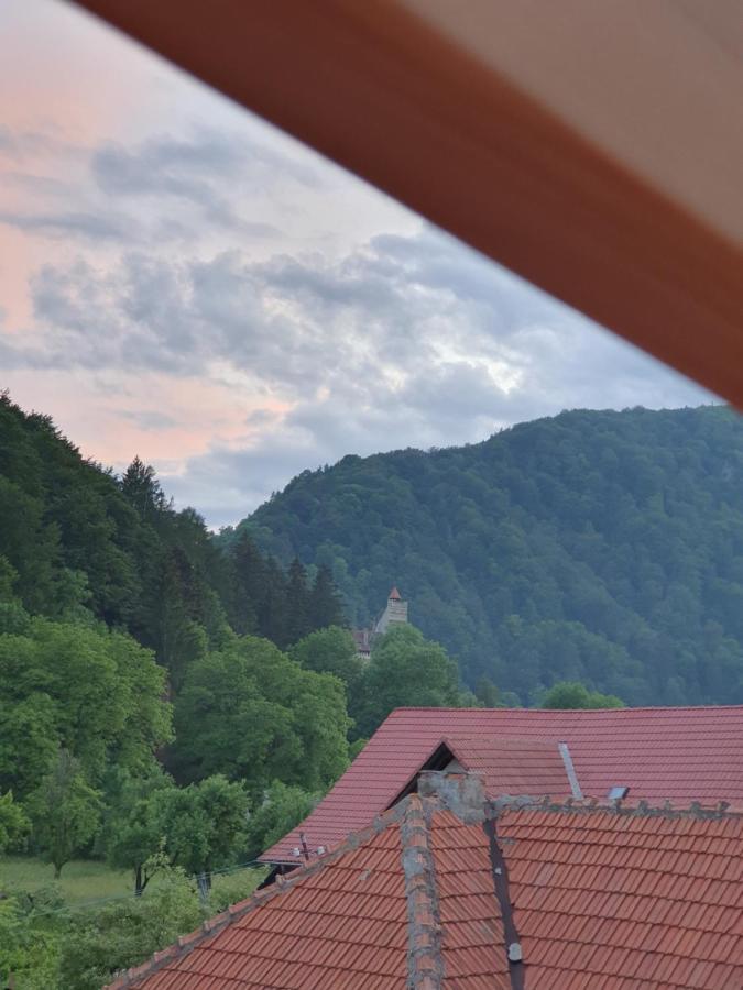 Vila Codreanu 布朗 外观 照片